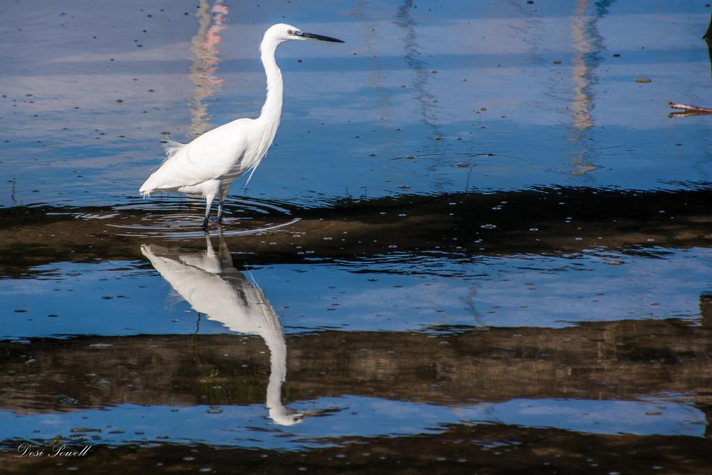 Апартаменти The Singing Seagull Фелдріфф Екстер'єр фото